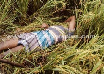 மின்சாரம் தாக்கி  விவசாயி உயிரிழப்பு