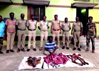 மானை வேட்டையாடிய நபர் கைது