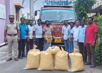 கஞ்சா கடத்தல் விற்பனையில் ஈடுபட்டவர் கைது