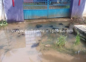 சாக்கடை கழிவுநீர் அகற்ற கோரிக்கை