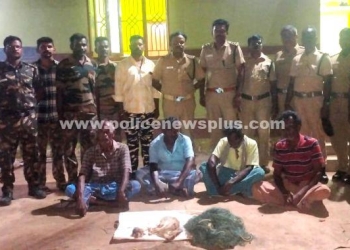 வனப் பணியாளர்கள் ரோந்து பணி