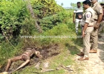 வழக்கறிஞர் வெட்டிய நபர் சரணடைவு