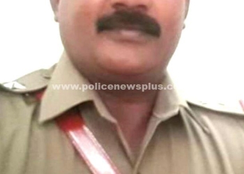 கஞ்சா விற்பனைக்கு வைத்திருந்த நபர் கைது