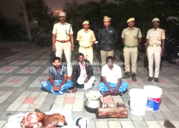 காட்டு பன்றி இறைச்சியை சமைத்த நபர்கள் கைது