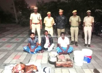 காட்டு பன்றி இறைச்சியை சமைத்த நபர்கள் கைது