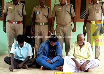 யானையின் கோரைப்பற்களை விற்க முயன்ற நபர்கள் கைது