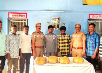 கஞ்சா கடத்தி வந்த 2 வாலிபர்கள் கைது