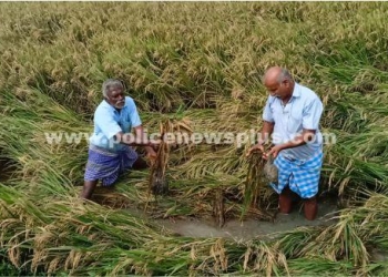 ஏரி மதகை விரைந்து சீரமைக்க விவசாயிகள் கோரிக்கை
