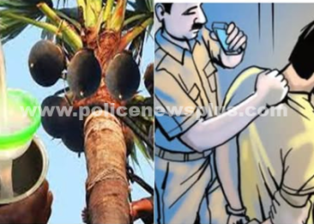 சட்டவிரோதமாக பனங்கள் விற்பனைக்கு வைத்திருந்த நபர் கைது