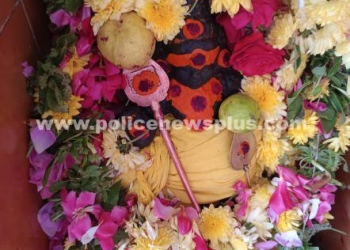 கோயில்களில் தை மாத சிறப்பு பூஜைகள்