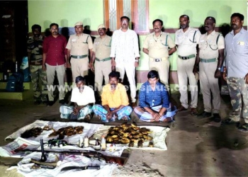 விலங்குகளை வேட்டையாடிய 3 நபர்கள் கைது