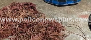 விவசாய நிலத்தில் காப்பர் ஒயரை திருடிய நபர் கைது