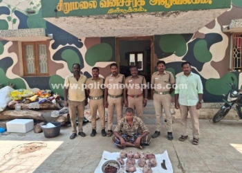 காட்டுப்பன்றியை வேட்டையாடிய வாலிபர் கைது