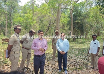 காசம்பட்டியில் வனப்பாதுப்பு காவலர் ஆய்வு