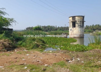 பாசன கால்வாயை தூர்வார விவசாயிகள் கோரிக்கை