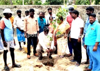 பழவேற்காடு பகுதியில் மரங்கள் நடும் நிகழ்ச்சி