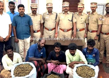 கஞ்சா பதுக்கி வைத்திருந்த 6 நபர்கள் கைது