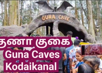 கட்டண வசூலில் ஏற்பட்ட சர்ச்சையால் வனத்துறை தாக்கியதாக புகார்