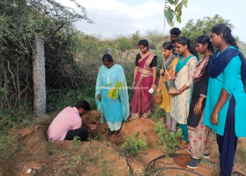 உசிலம்பட்டி மாணவர்கள் மரம் நட்டு சுற்றுச்சூழல் விழிப்புணர்வு!