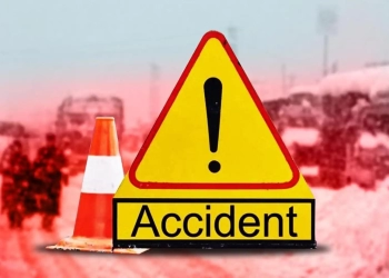 வேடசந்தூர் அருகே  வாகனம் மோதி விபத்து