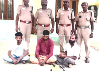 யானை தந்தம் விற்க முயன்ற 3 பேர் கைது
