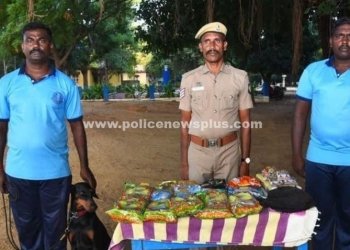 புகையிலைப் பொருட்களுக்கு எதிரான தீவிர சோதனை