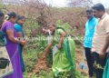 பாலூர் ஊராட்சியில் சுதந்திர தின விழா