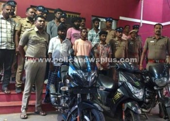 பழனியில் கஞ்சா விற்பனை செய்த 6 பேர் கைது