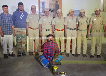 நாட்டு வெடிகுண்டுகளை பதுக்கி வைத்திருந்த வாலிபர் கைது