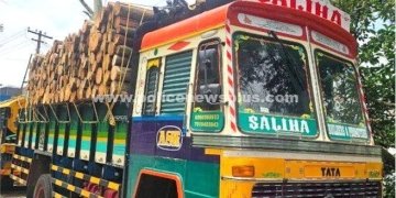 கொடைக்கானலில் மரங்கள் வெட்டி கடத்தல் – 4 பேர் சஸ்பெண்ட்