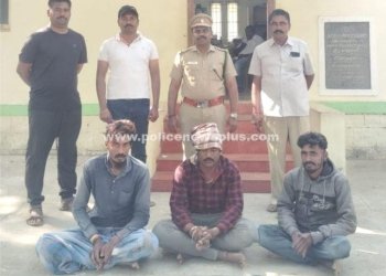 காட்டு முயலை வேட்டையாட முயன்ற 3 பேர் கைது