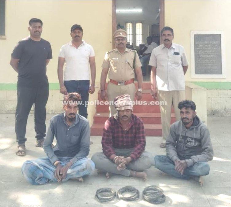 காட்டு முயலை வேட்டையாட முயன்ற 3 பேர் கைது