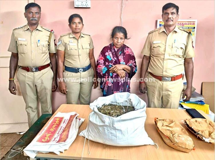 3.65 கிலோ கஞ்சாவுடன் பெண் கைது