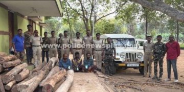 சட்டவிரோத மரவெட்டில் ஈடுபட்ட 3 பேர் கைது