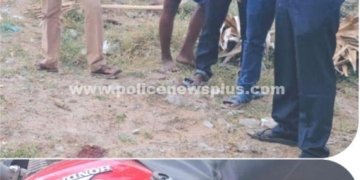 சாலை விபத்தில் தலைமை காவலர் உயிரிழப்பு