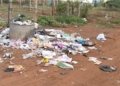 அண்ணாமலைபுரத்தில் குப்பைகளை அகற்ற பொதுமக்கள் கோரிக்கை