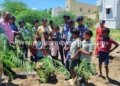 மதுரை அரசுப் பள்ளியில் சுற்றுச்சூழல் தின விழா