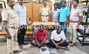மதுரையில் 1.3 கிலோ கஞ்சா பறிமுதல். இருவர் கைது