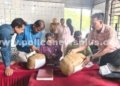 சென்னையில் பறிமுதல் செய்யப்பட்ட கஞ்சா அழிப்பு
