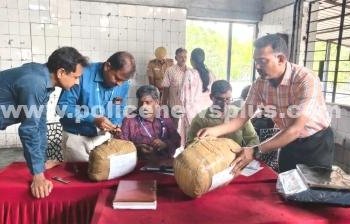 சென்னையில் பறிமுதல் செய்யப்பட்ட கஞ்சா அழிப்பு