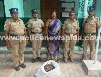 கஞ்சா வைத்திருந்த பெண் கைது