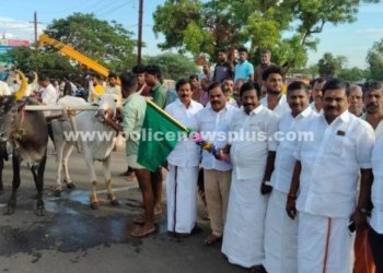 காரைக்குடியில் மாபெரும் மாட்டு வண்டி போட்டி