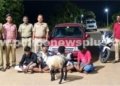 ஆடு திருட்டில் ஈடுபட்ட 4 பேர் கைது