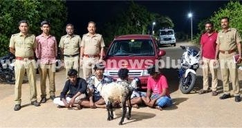 ஆடு திருட்டில் ஈடுபட்ட 4 பேர் கைது