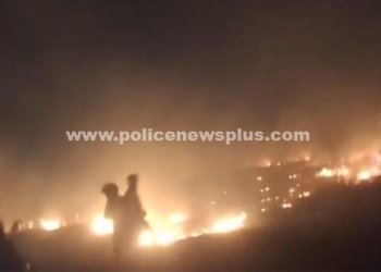 விளாச்சேரி கண்மாய் பகுதியில் பயங்கர தீ விபத்து
