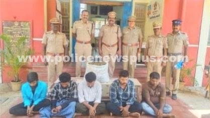 திண்டுக்கல்லில் 20.5 கிலோ கஞ்சா பறிமுதல். 5 பேர் கைது