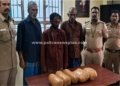 கஞ்சா பதுக்கி வைத்து விற்பனை செய்த 3 பேர் கைது