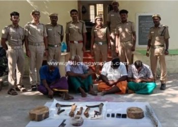 கடமான் வேட்டையாடிய 4 பேர் கைது