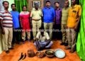 காட்டுபன்றியை வேட்டையாடிய நபர் கைது