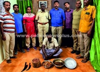 காட்டுபன்றியை வேட்டையாடிய நபர் கைது